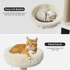 Cat Tree/Litter Box Enclosure