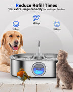 Stainless Steel Pet Water Fountain