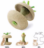 Apple Core Shaped Hamster Chew Toy