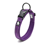 Dog Walking Collar with Buckle