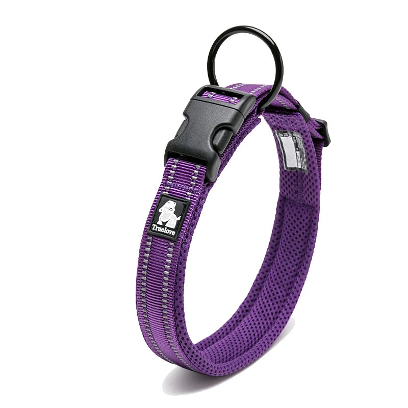 Dog Walking Collar with Buckle