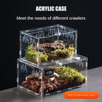 Reptile Habitat Breeding Box