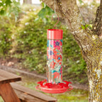 Glass Hummingbird Feeder