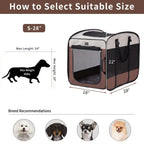 Dog Kennels and Crates
