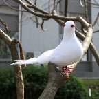 Artificial White Pigeon...
