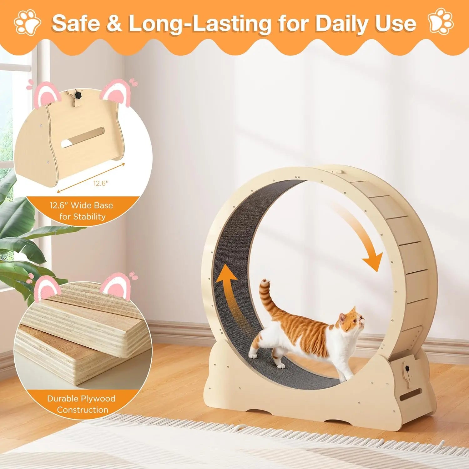 Cat Exercise Wheel Indoor