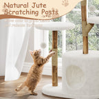 Real Wood Modern Cat Tree