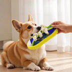 Dog Squeak Toy