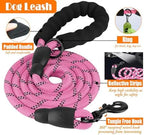 Training Kit for Dogs