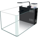 Curved Corner Saltwater Aquarium Rimless