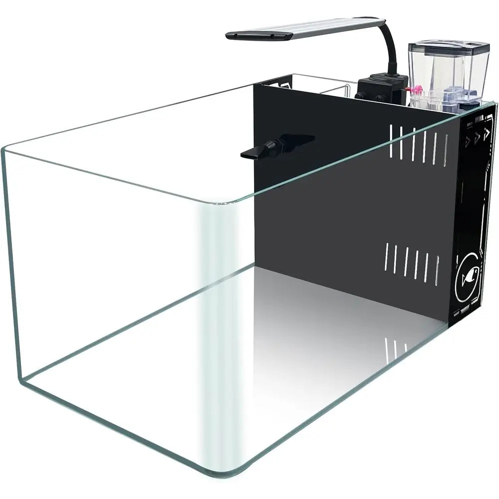 Curved Corner Saltwater Aquarium Rimless