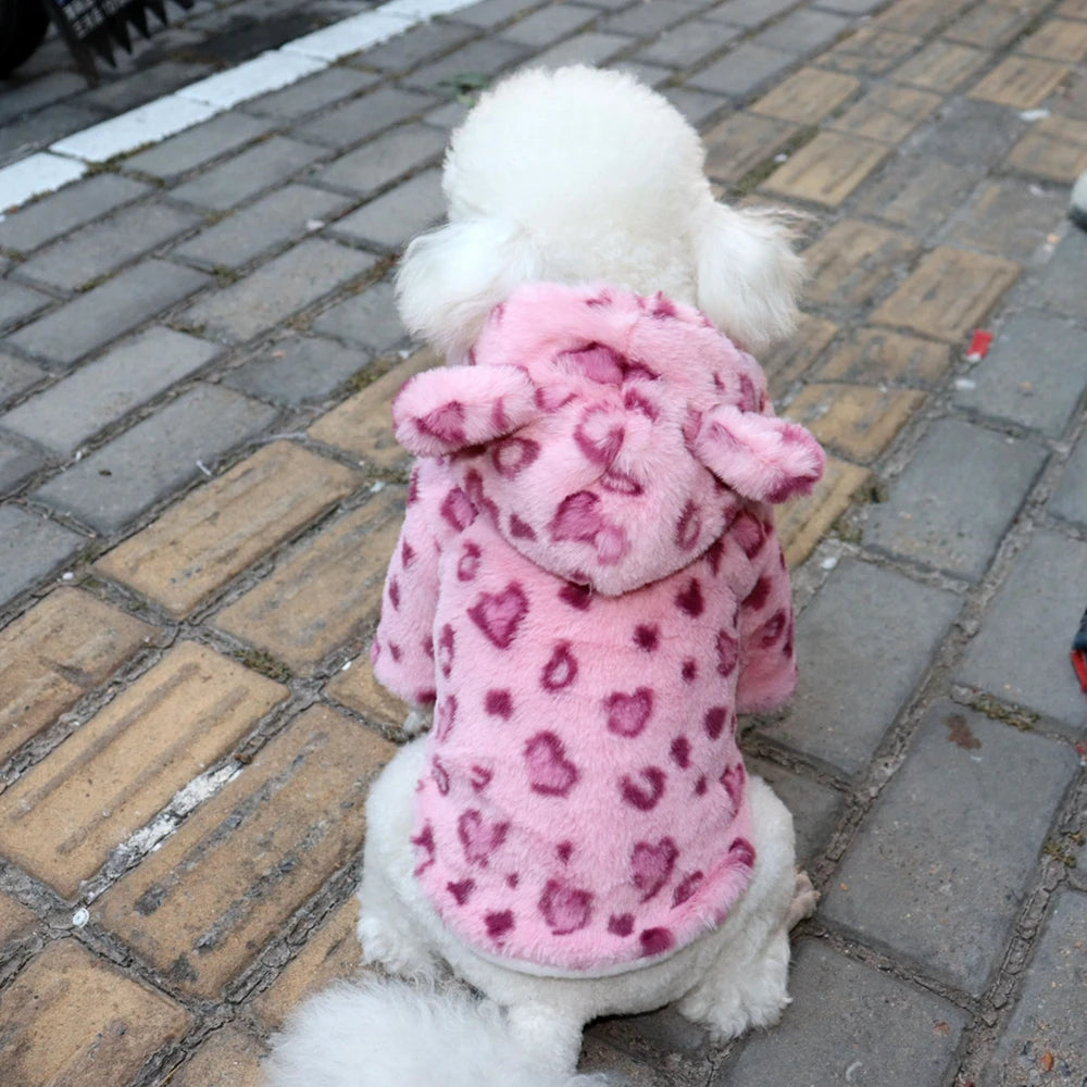 Winter Dog Clothes