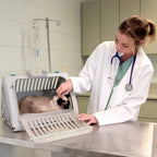 Foldable Cat Carrier