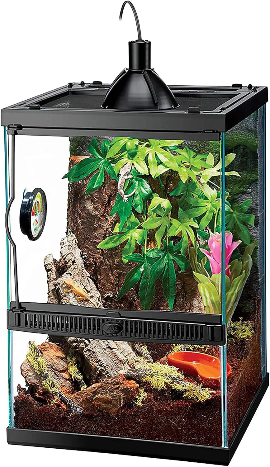 11 Gal Vertical Terrarium Starter Kit