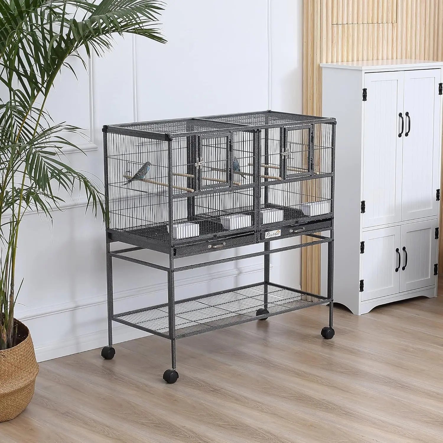 Divided Bird Cage