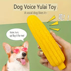 Indestructible Dog Chew Toy