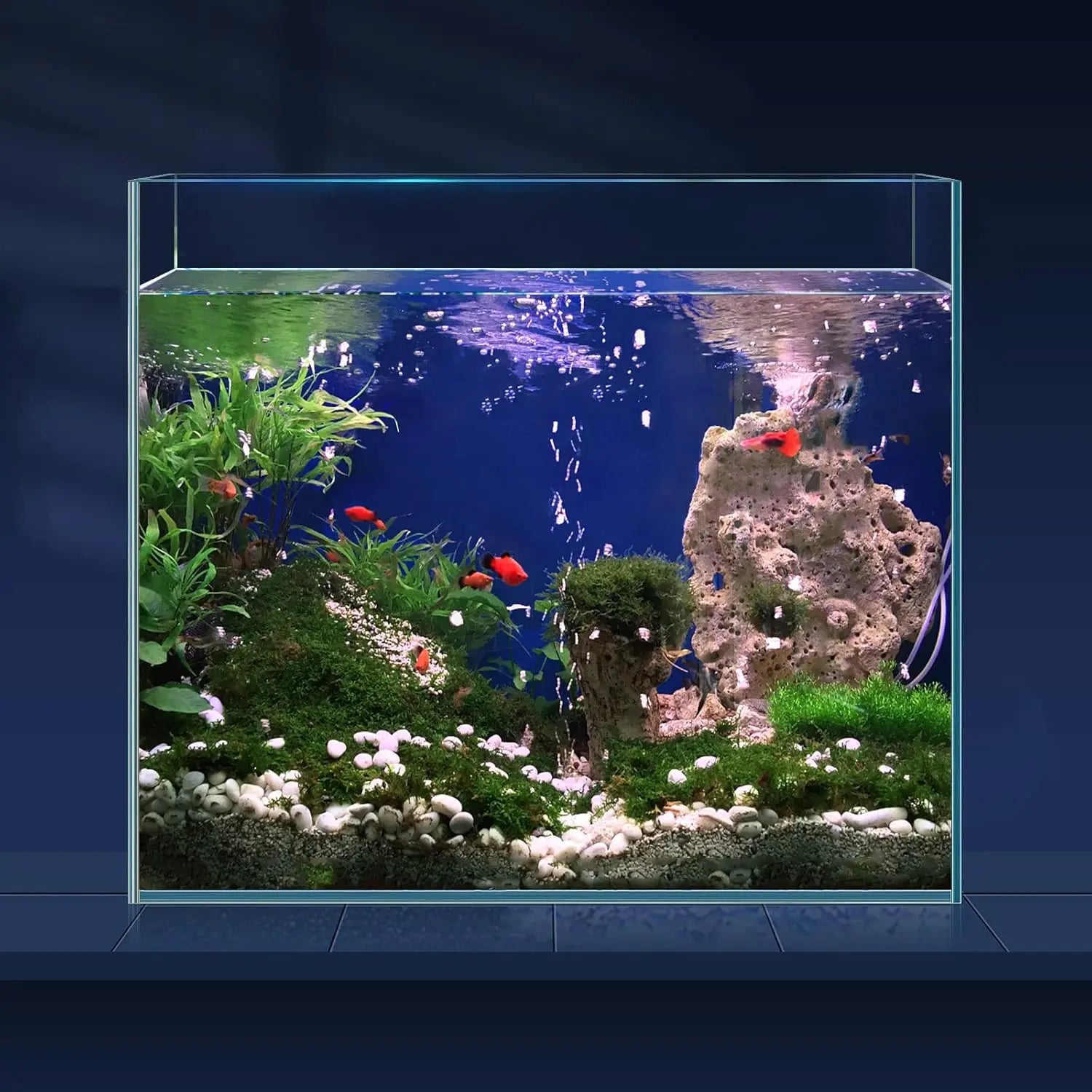 10 Gal. Ultra Clear Rimless Glass Aquarium