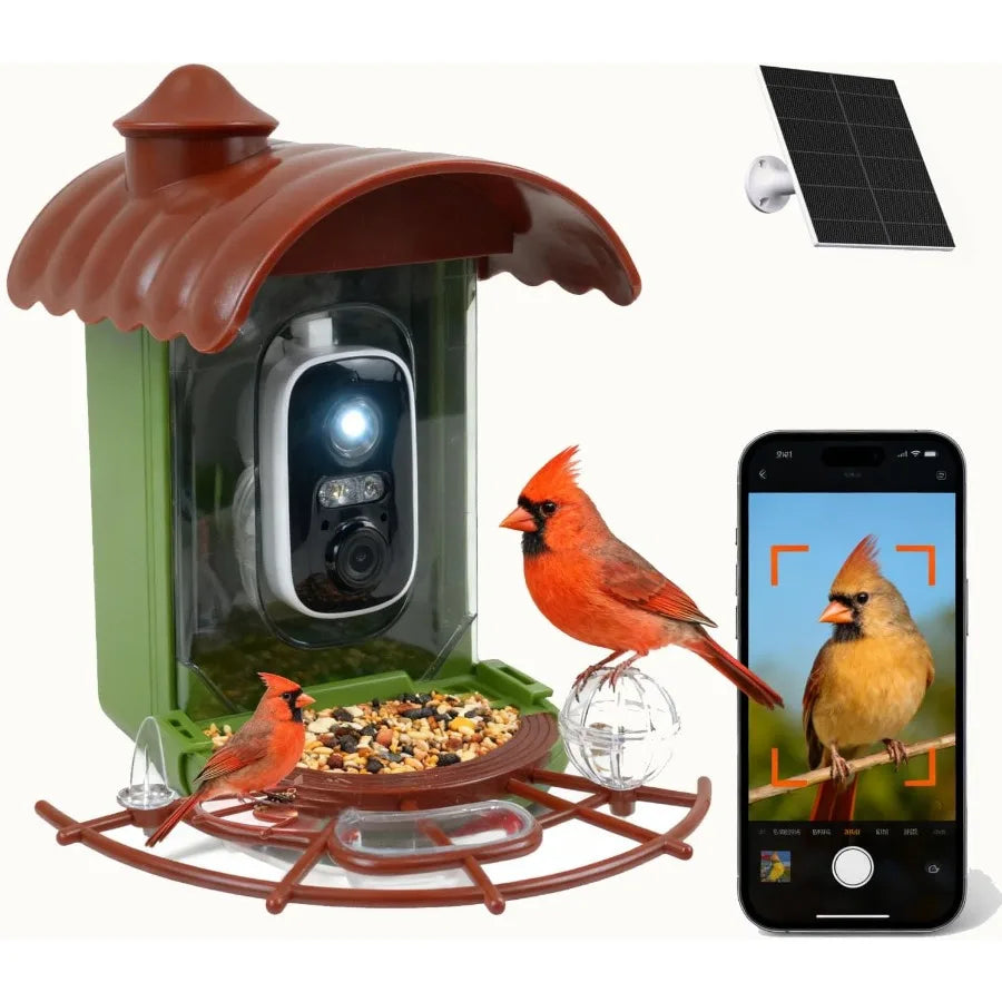 Bird Feeder with Camera