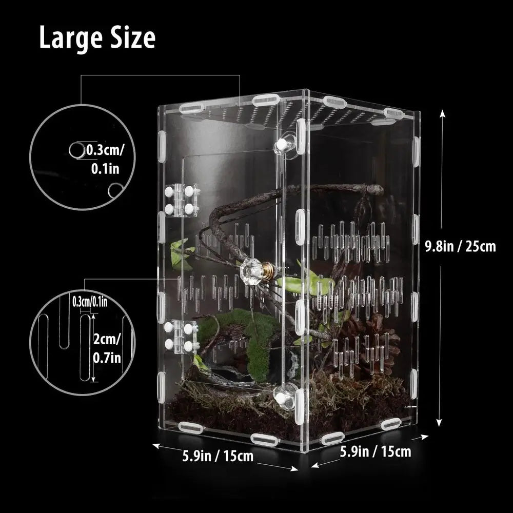 Ventilated Insect Terrarium