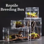 Reptile Habitat Breeding Box