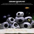 Ceramic Fish Eluding House