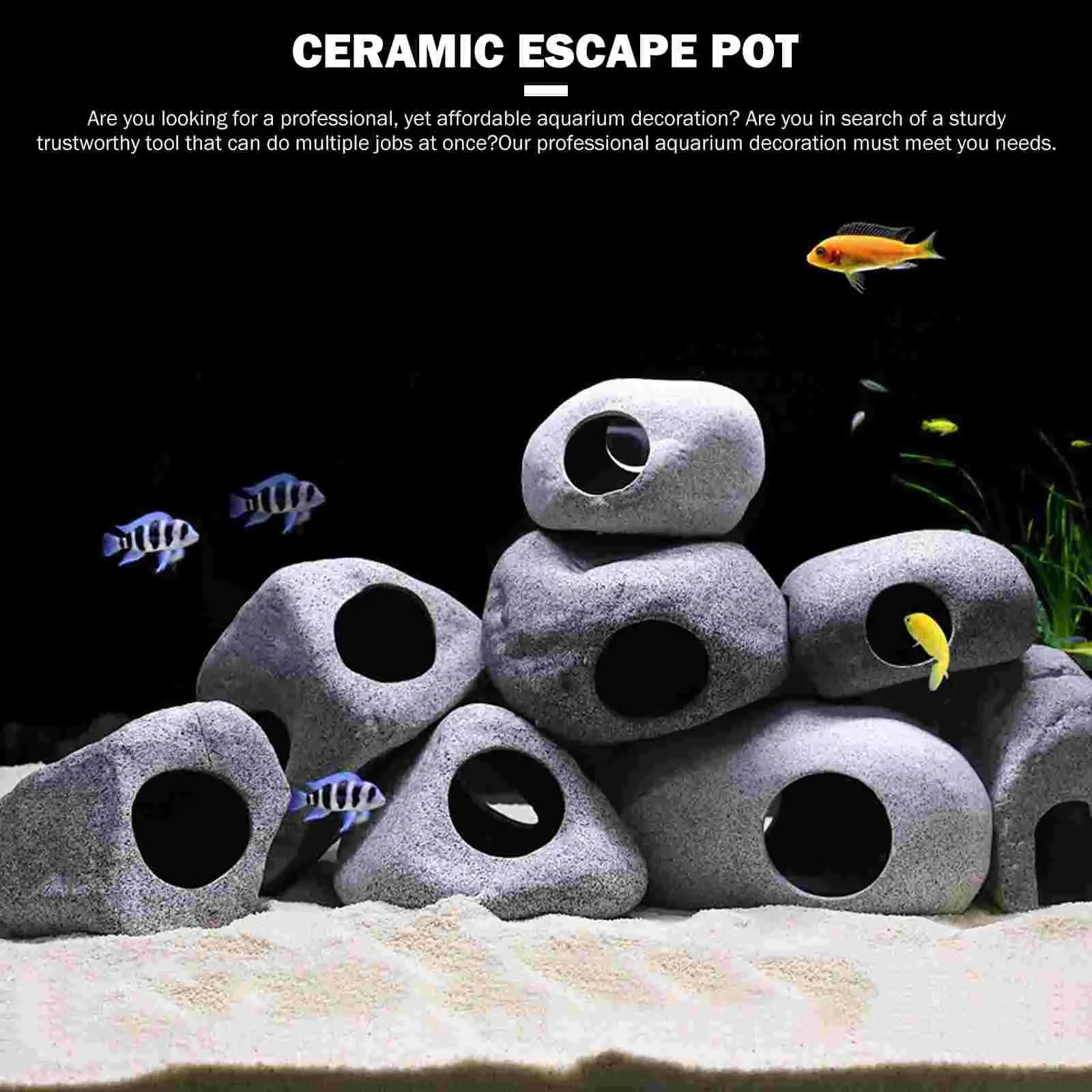 Ceramic Fish Eluding House