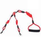 Leashes for 2 smaller Dogs