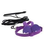 Bird Harness/Leash Training