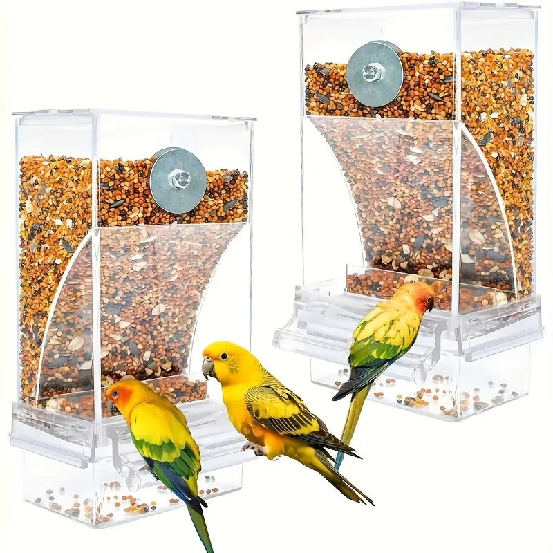 Transparent Automatic Bird Feeder