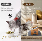 15° Tilted Elevated Pet Bowls/Silicone Mat