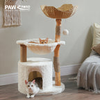 Solid Wood Cat Tree