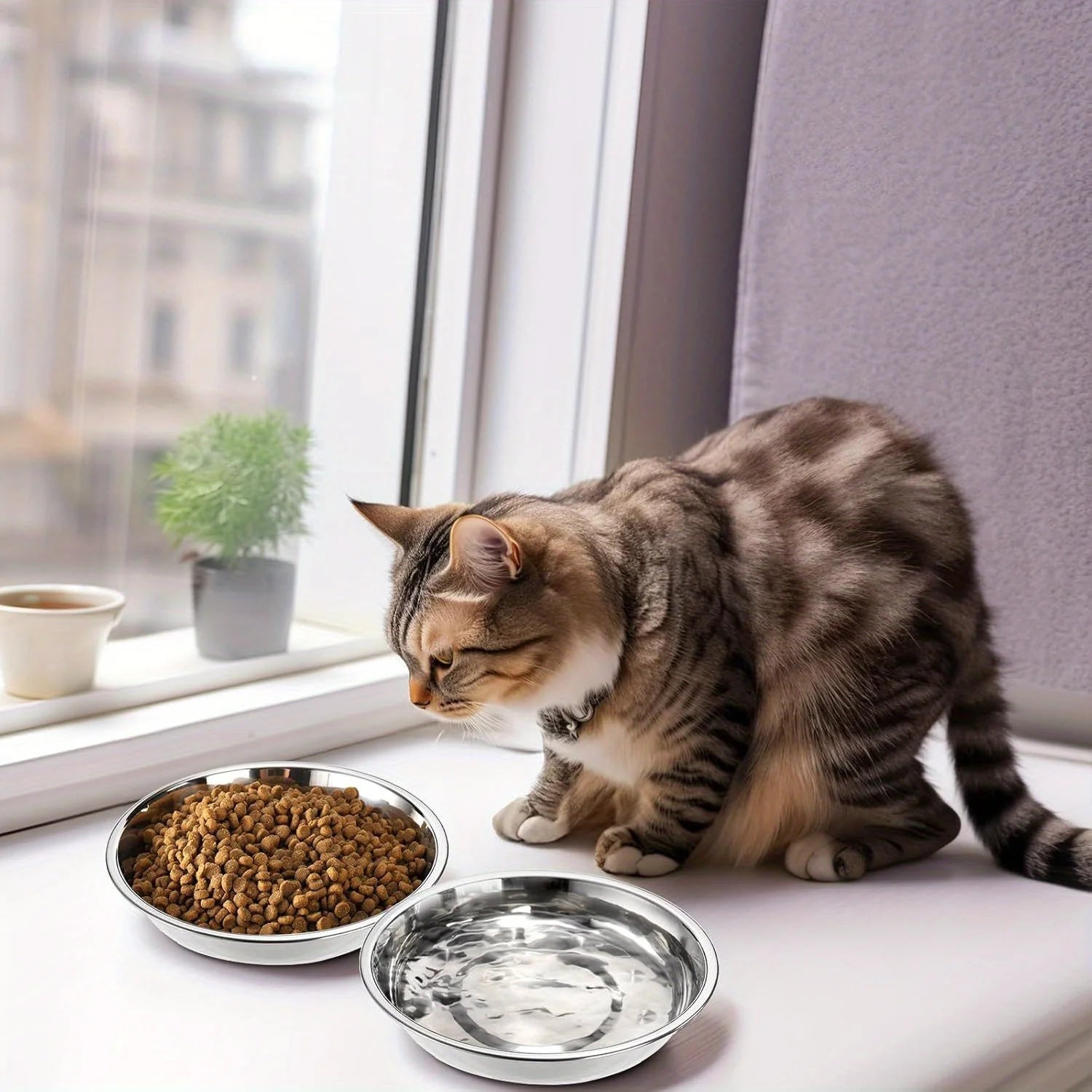 Slip Resistant Stainless Steel Cat Bowl