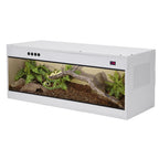 Reptile Enclosure