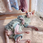 Elegant Warm Sphynx Cat Turtleneck