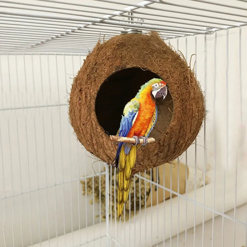 Hideaway Birds/Reptile