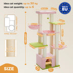 Multi-Level Cat Tree
