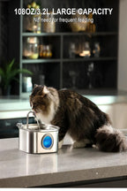 Stainless Steel Pet Water Feeder