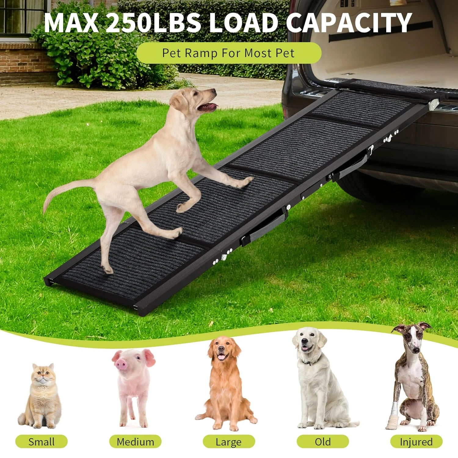 Folding Dog Ramp For Car