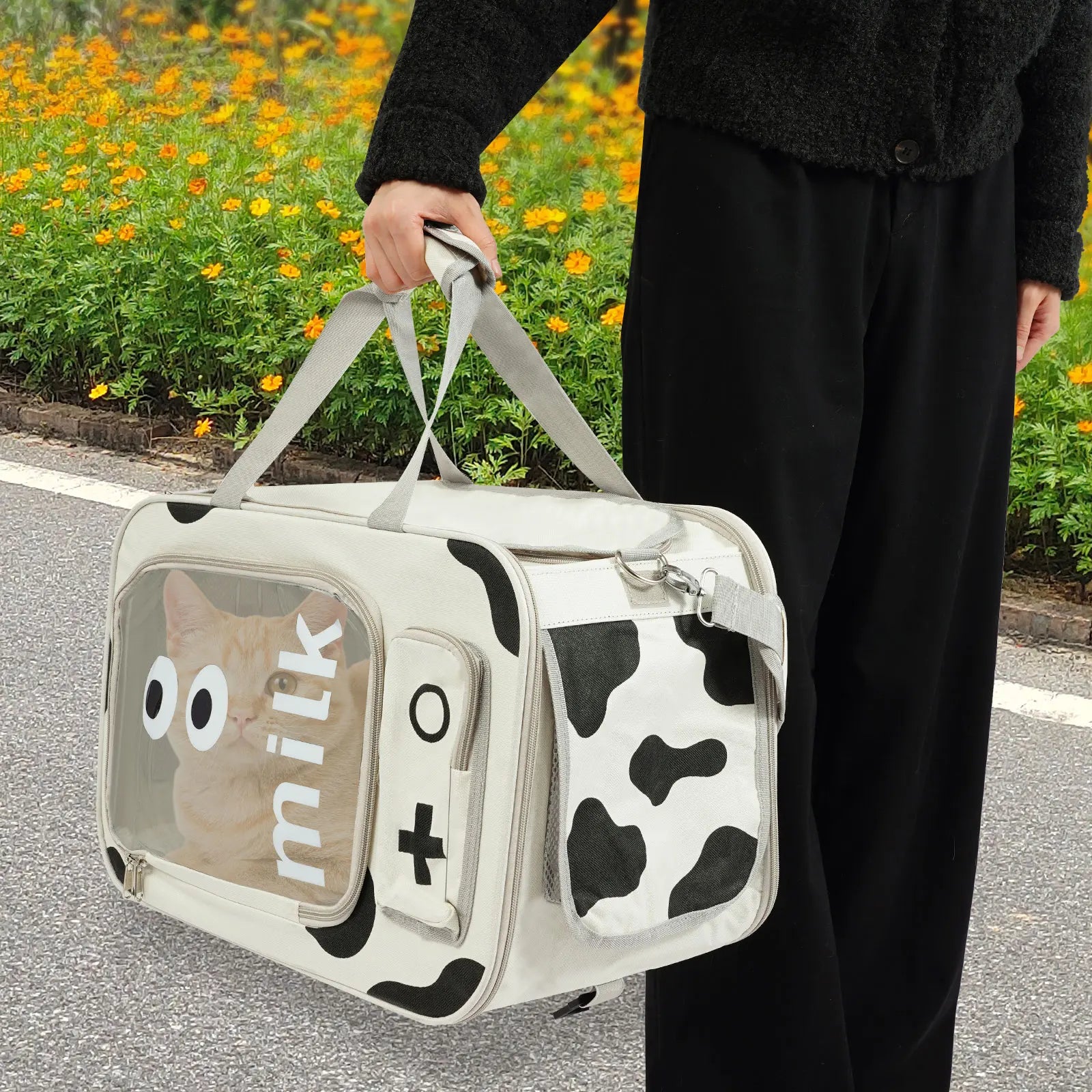 Pets Go Out with Portable Trolley Cases