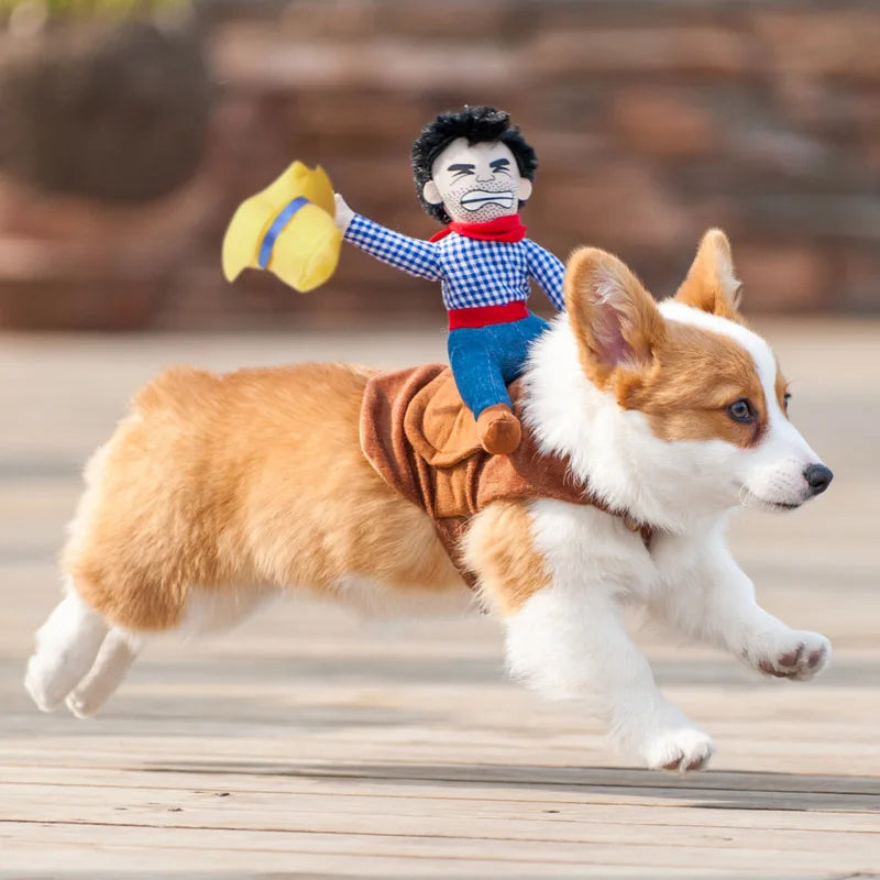Halloween Dog Clothes
