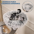 Cat Tower/Enclosed Litter Box