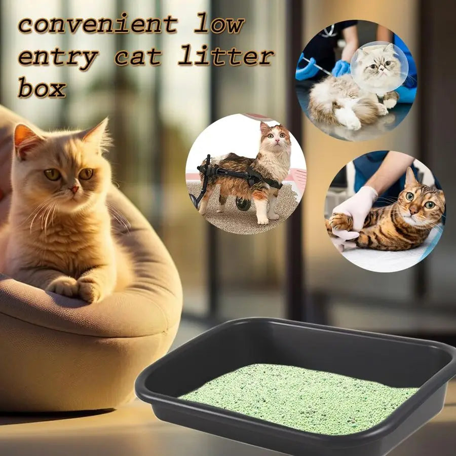 Low Entry Senior Cat Litter Box