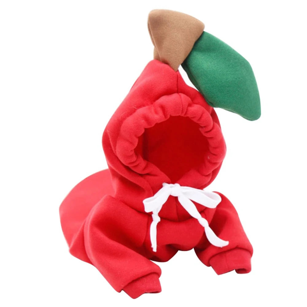 Cute Fruit Dog Clothes