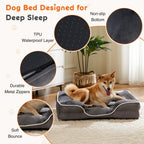 Orthopedic Pet Bed Memory Foam