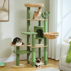 Multi-Level Cat Tree