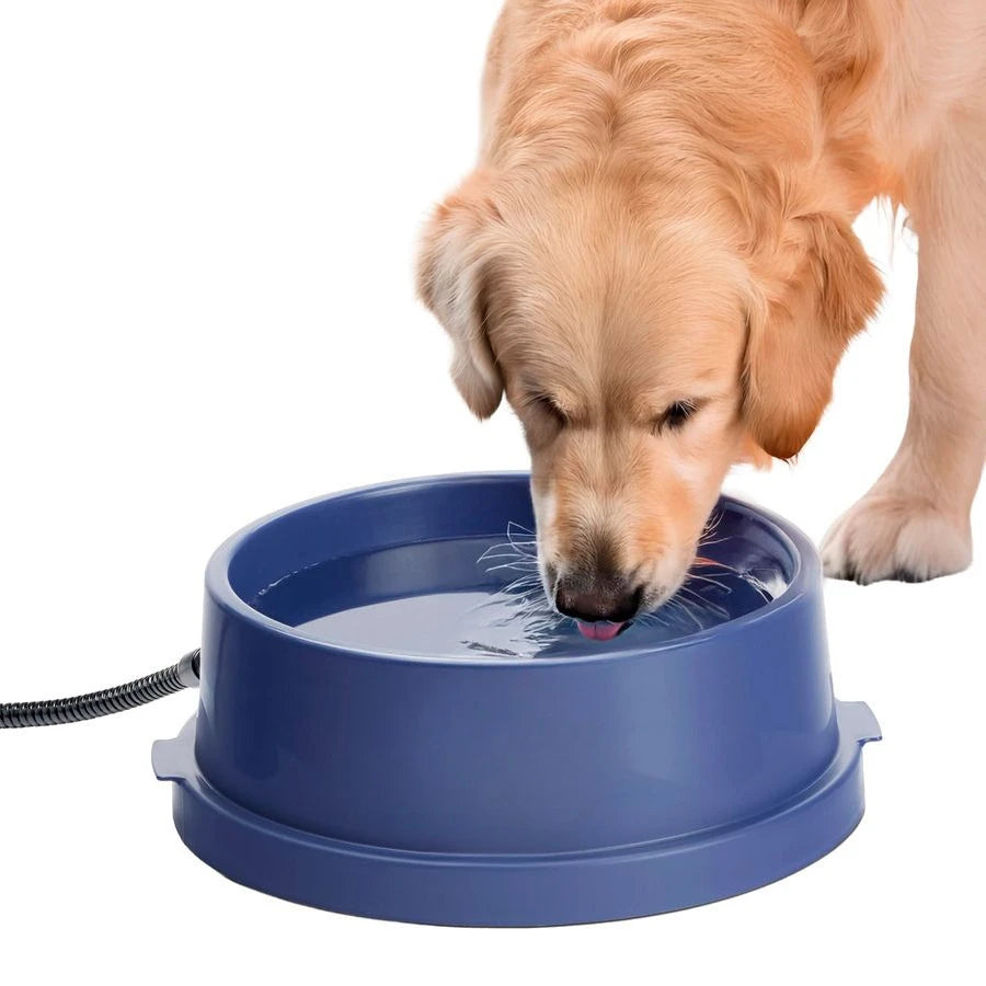 Thermal-Bowl Heated Water Bowl