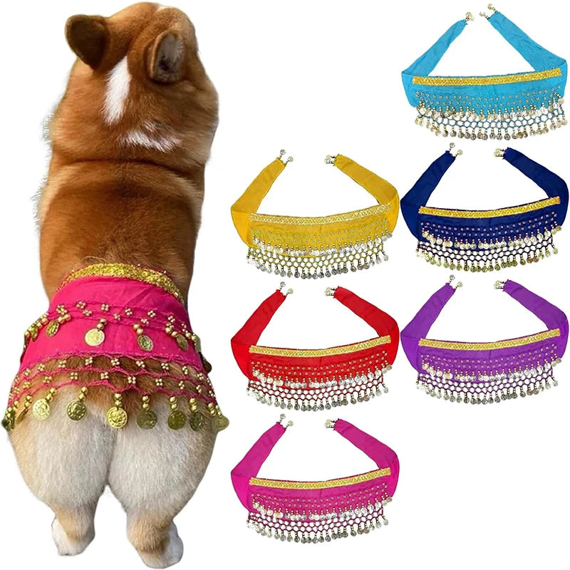 Corgi Belly Dance Belt Skirt