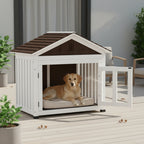 Dog House