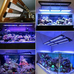Full Spectrum Marine Aquarium Lamp