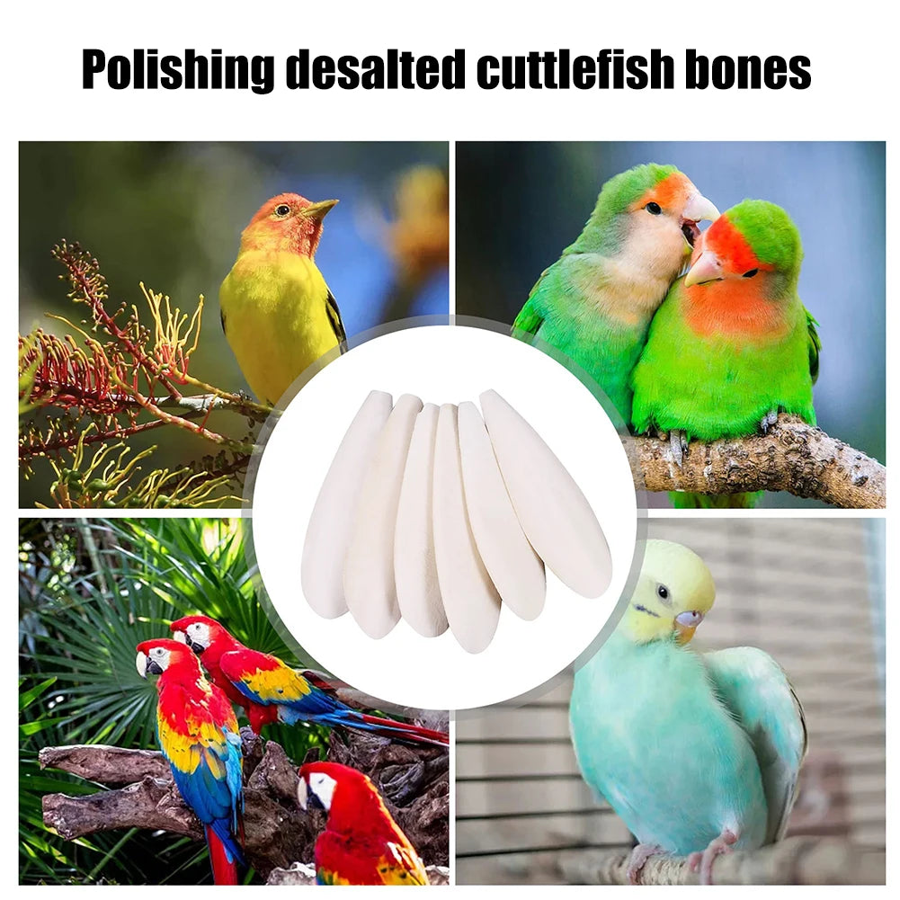 Cuttlefish Bone Calcium Supplements